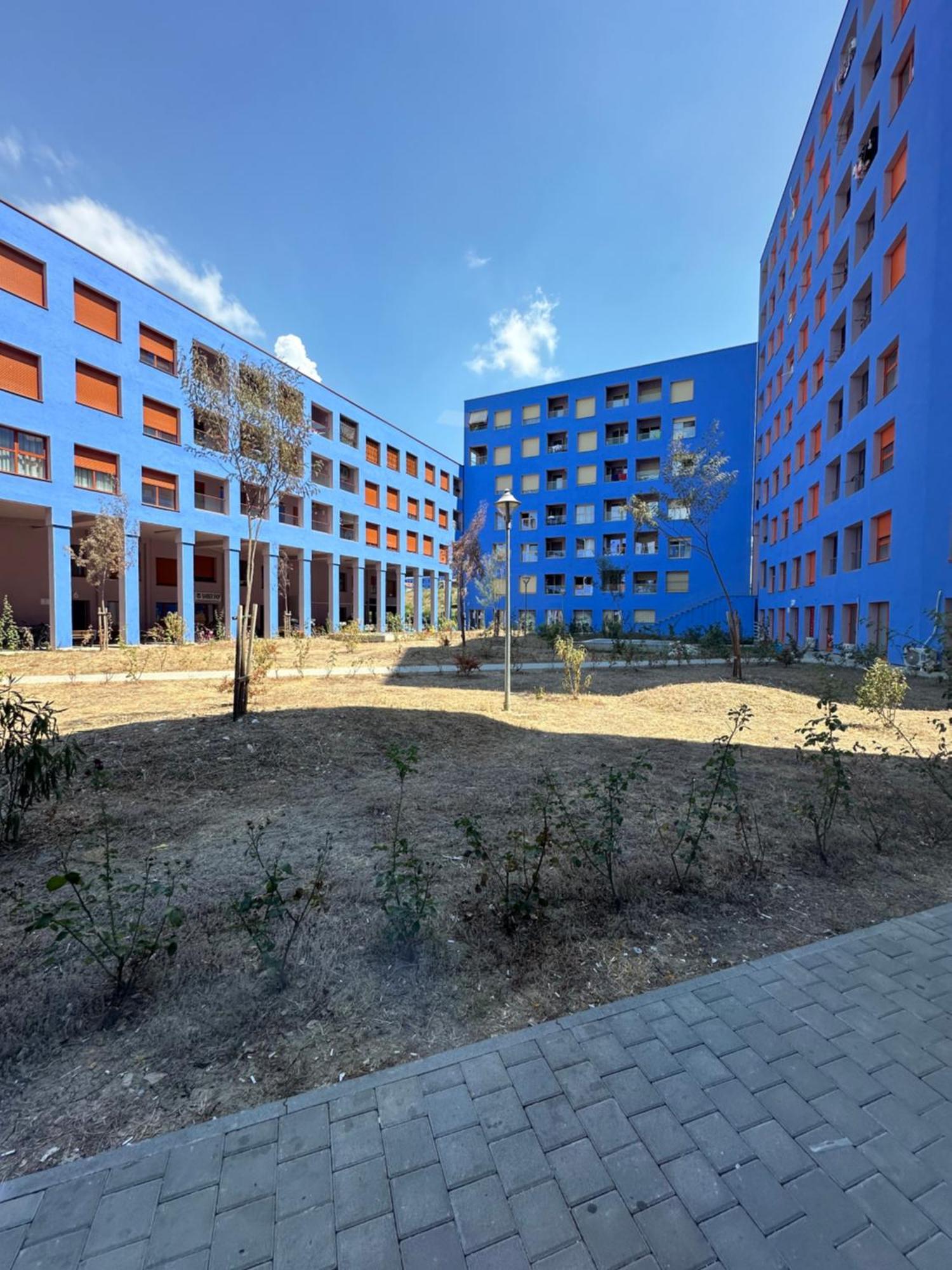 Sunflower Apartment 地拉那 外观 照片